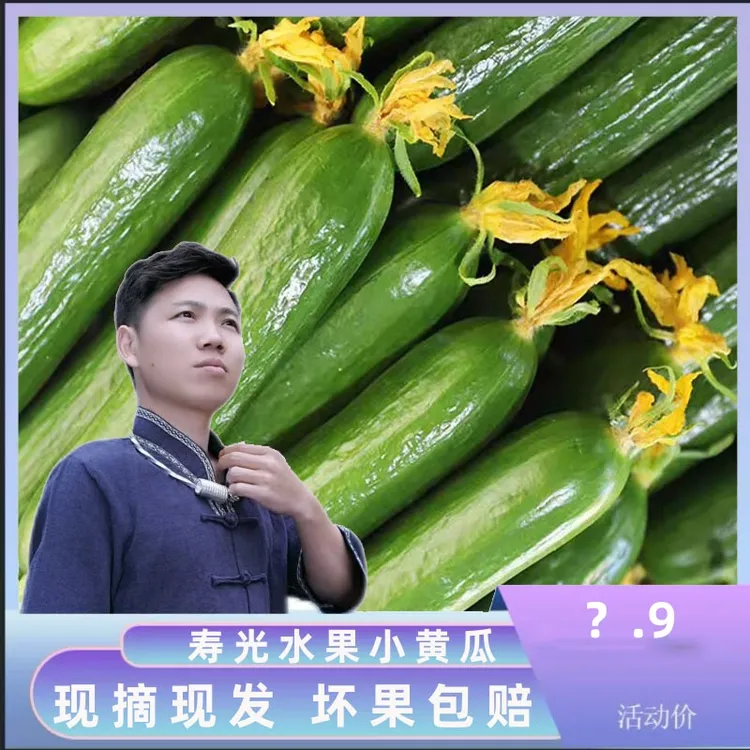 （幺哥专属）新鲜水果黄瓜荷兰无刺小黄瓜现摘现发3斤5斤食用农产品