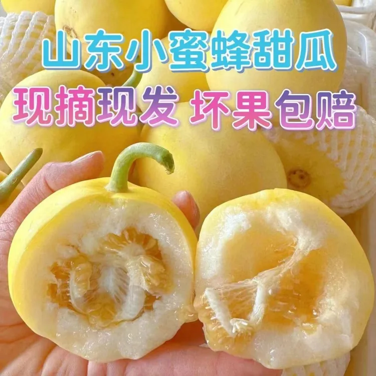 现货直发山东小蜜蜂甜瓜星甜20蜜罐香瓜当季新鲜现摘水果甜香薄皮