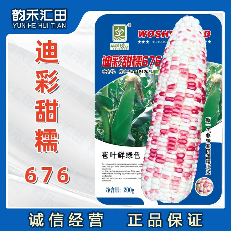 迪彩甜糯676玉米种子皮薄无渣好吃精品蔬菜608玉米种籽基地大户专