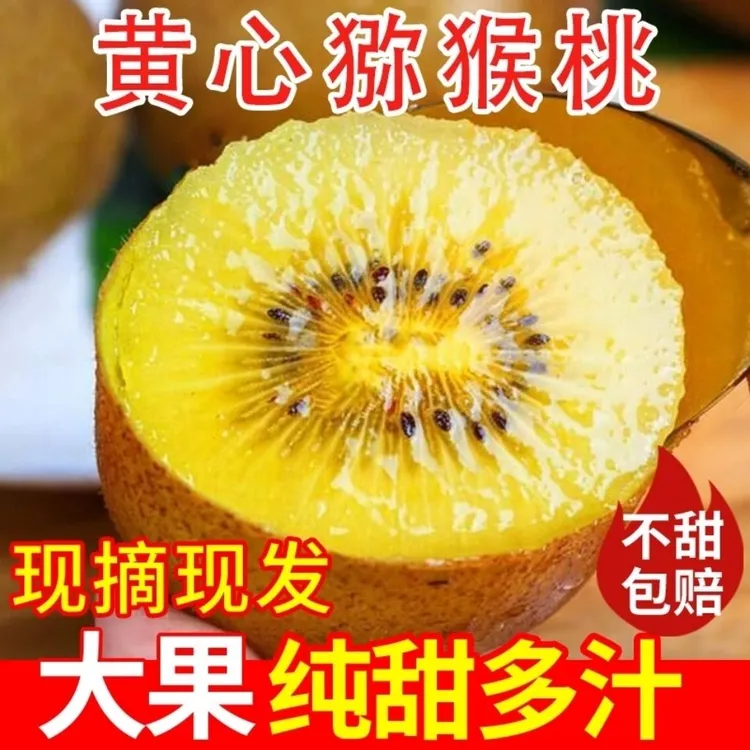 正宗福建黄心猕猴桃新鲜水果奇异果整箱大果应季孕妇软糯香甜现摘