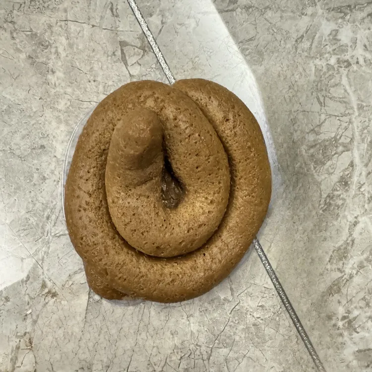 假屎粑粑玩具恶搞道具愚人节搞怪整蛊超逼真仿真游戏便便新奇礼物