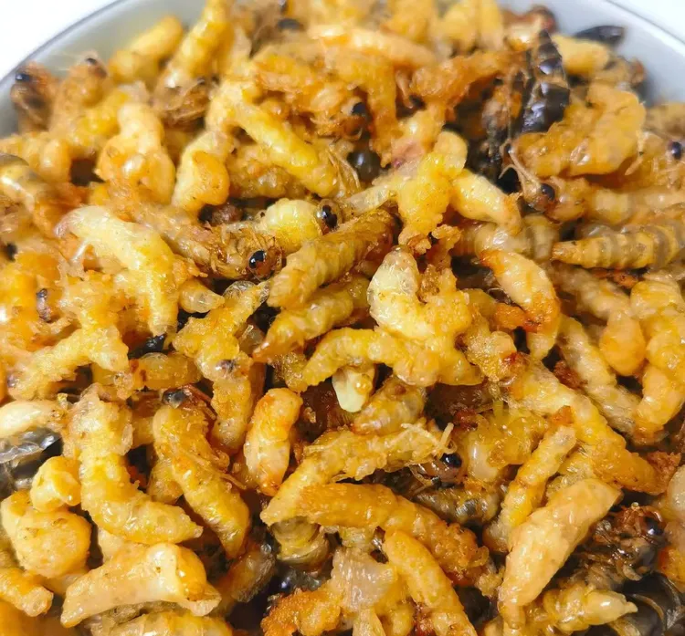 新鲜现做油炸蜂蛹即食香酥脆高蛋白