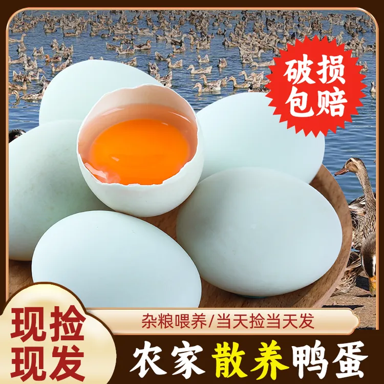 【书记助农】绿壳生鲜鸭蛋散养金定麻鸭农家土鸭蛋现捡现发每日新鲜