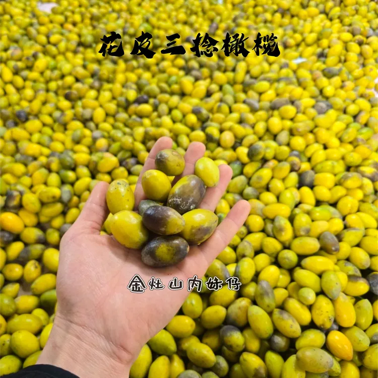 金灶 花皮黑皮三捻橄榄 三棱橄榄生吃 煲汤 泡酒净含量500G包邮