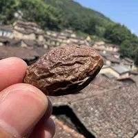 高山农家 胖大海果