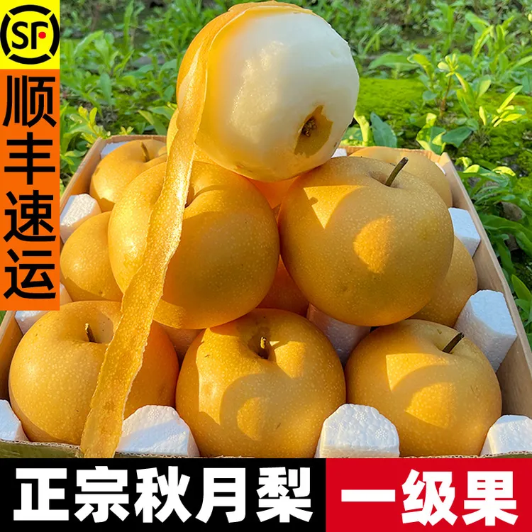 【精品礼盒装8.5斤】山东莱阳秋月梨新鲜水果脆甜多汁应季冰糖梨子