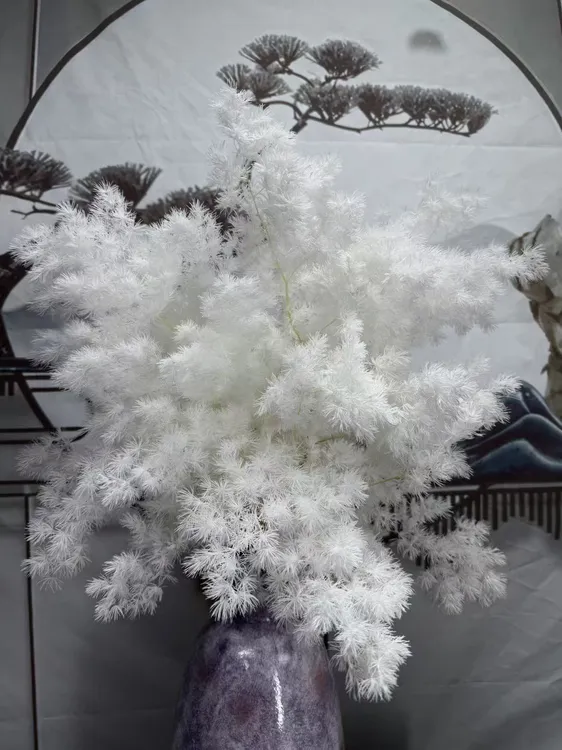 花园时光100~120克永生花蓬莱松梦幻手工花材清新白色干花花束