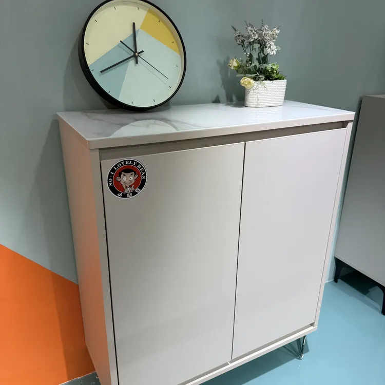 简约时尚风鞋柜轻奢收纳柜门厅家用客厅玄关/鞋柜