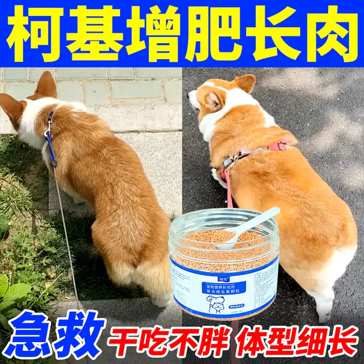 柯基狗狗增肥长肉快速长胖发腮丰臀复合维生素宠物专用营养补充剂