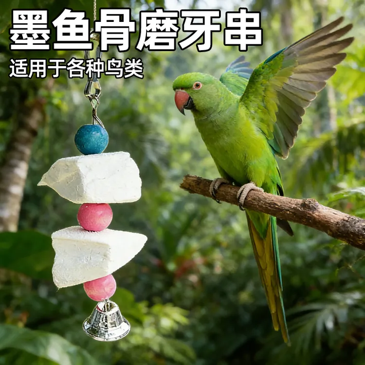 墨鱼骨珍珠鸟专用鹦鹉磨牙棒大块吊串食啃咬玄凤虎皮零食棒