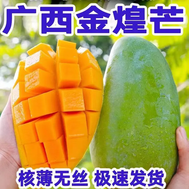 正宗百色金煌芒果青芒果大芒果应季水果整箱批发非贵妃芒小台农芒