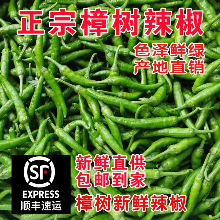 樟树新鲜现摘农家自种特辣中辣微辣湖南小青辣椒薄皮香脆嫩虎皮椒