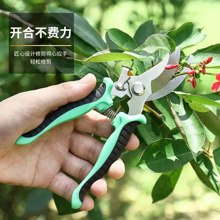 不锈钢树枝剪修枝剪园艺剪刀果园花艺专用摘果剪园林工具剪园艺剪