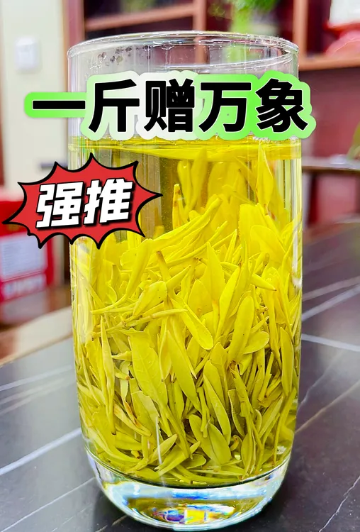 2025新茶【2-6-0 黄金芽】浙江茶口粮茶兰花香耐泡甘甜茶叶