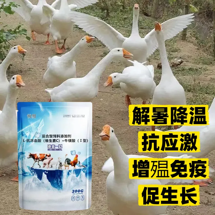 降暑神器猪牛羊解暑降温兽用畜禽鸡鸭鹅防中暑抗热应激家禽粉剂
