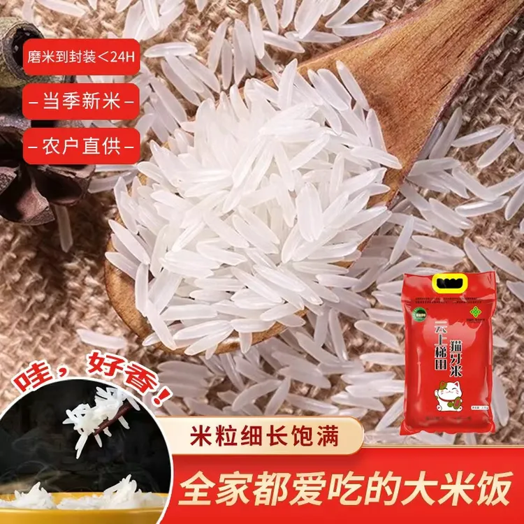 长粒猫牙米农家新大米现磨现发孩子爱吃新鲜真空云上梯田猫牙米