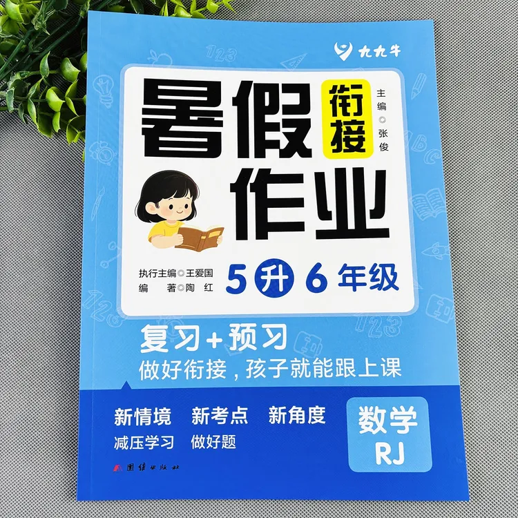 人教版五升六暑假作业衔接套装数学暑假作业五年级下册暑假练习册
