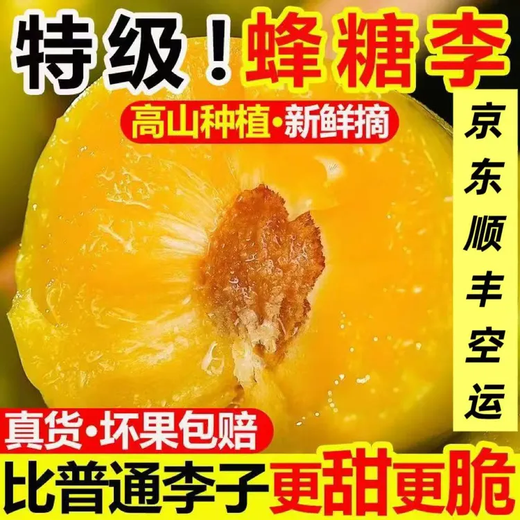 （京东/顺丰空运）正宗贵州镇宁-六马蜂糖李新鲜孕妇水果产地直发