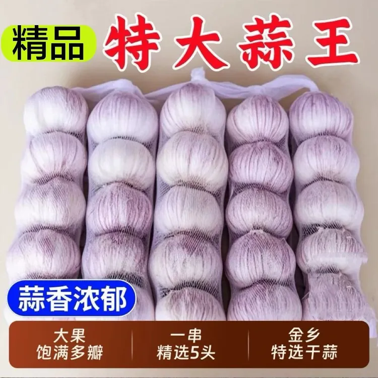 【辛辣汁浓】2025年干大蒜头网兜紫白皮干蒜批发红皮蒜子新鲜特大果