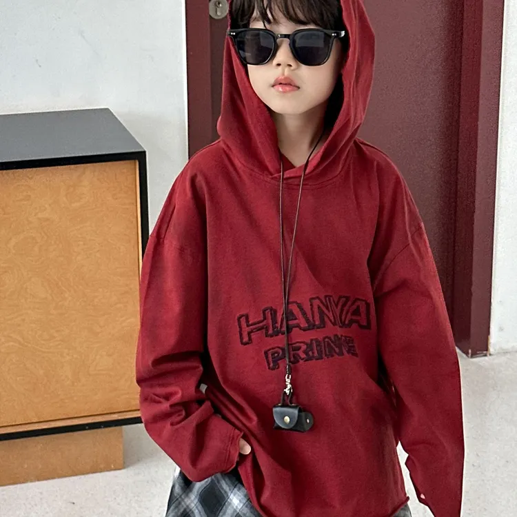 男童连帽卫衣春秋款2025新款儿童纯棉上衣宽松休闲童装中小童衣服