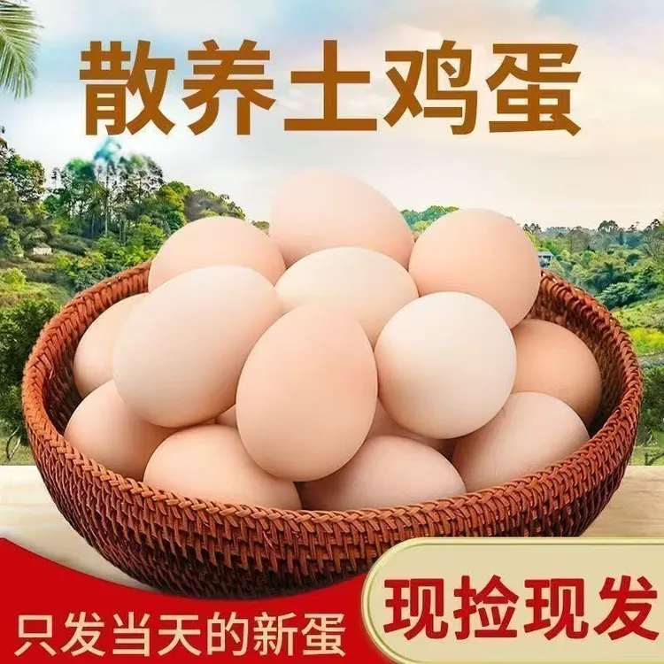 农村散养土鸡蛋新鲜现捡营养健康每日甄选土鸡蛋50枚一箱