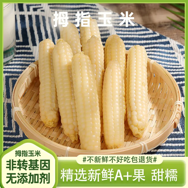 云南西双版纳拇指玉米香甜软糯营养宝宝儿童早餐食用真空方便小糯