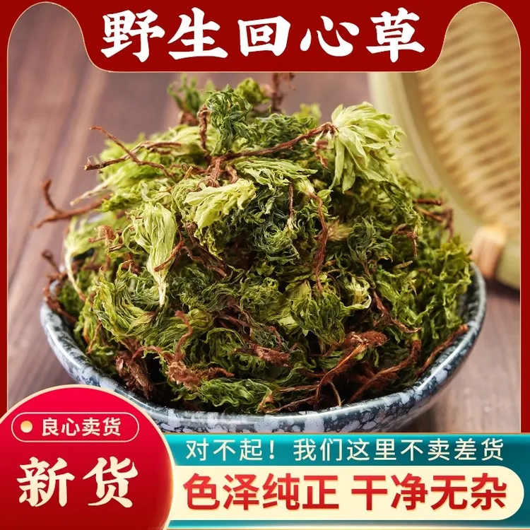野生回心草云南回心草铁脚一把伞大叶回心草茴心草泡水另售葛根