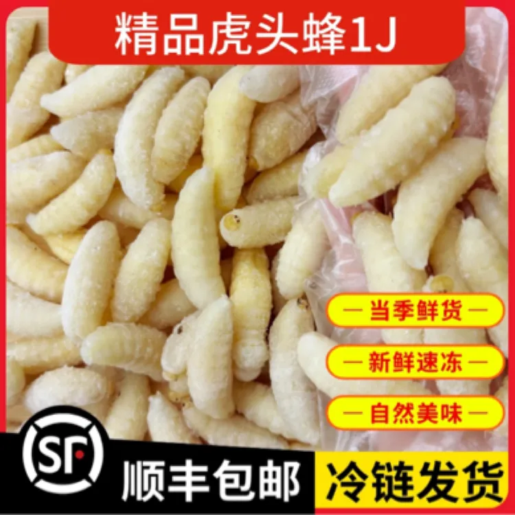 野生金环虎头蜂蜂巢土蜂蛹新鲜马蜂可食用生鲜昆虫