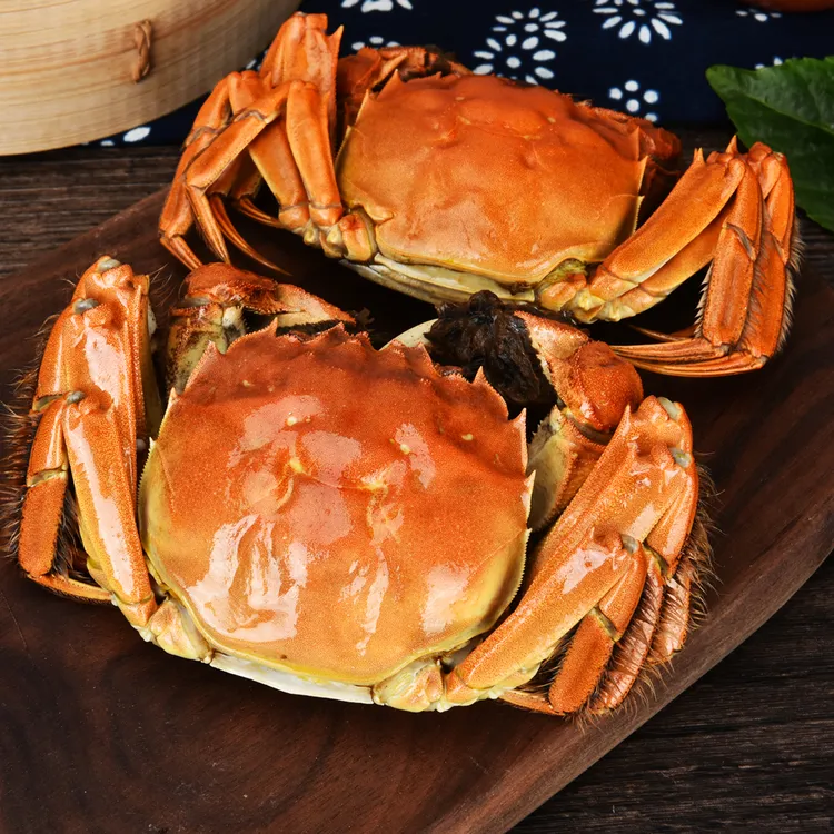 蟹红书苏州精品湖蟹活蟹纯母蟹3.3-3.8两8只