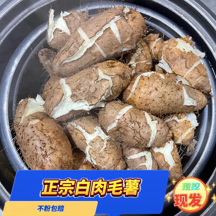 湛江农家新鲜毛薯粉糯香甜白心田薯猪仔薯脚板薯现挖产地直发