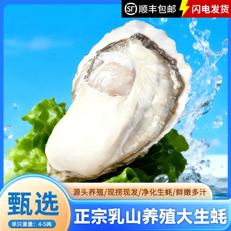 新店福利 拍4斤发5斤 4-5两 正宗乳山生蚝源头养殖 肉质鲜美