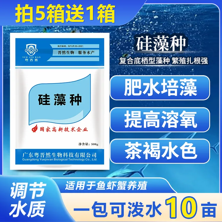 粤晋然硅藻藻种底栖复合型水产养殖专用肥水培藻天然饵料扩培调水