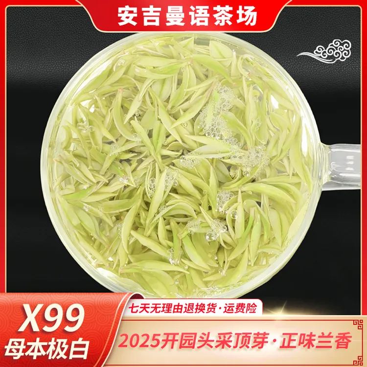2025新茶【母本顶芽X99】 安吉原产地白茶 头采顶芽 一芽一叶 明前