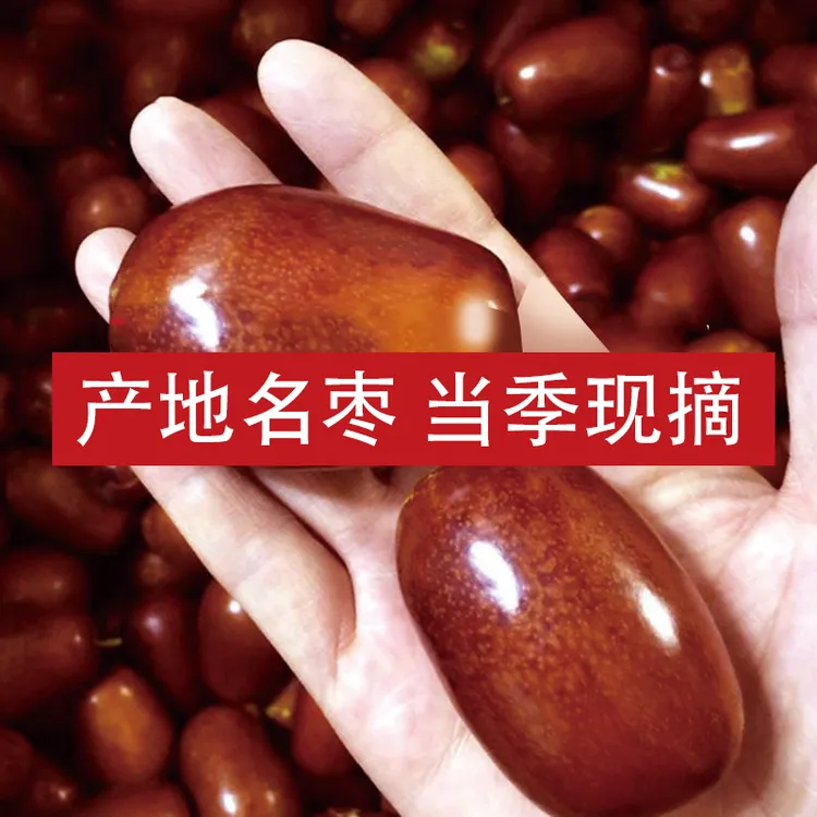 [京东/顺丰]太谷壶瓶枣山西特产新鲜水果新鲜脆枣鲜枣大红枣
