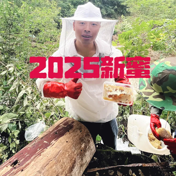 裕河蜂巢蜜嚼着吃的土蜂蜜农家自产一年取一次