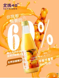 呼伦贝尔北纬48度大兴安岭生榨沙棘汁纯果汁饮料饮品瓶装顺丰包邮