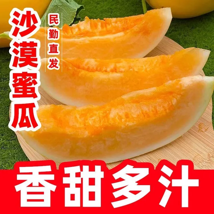 甘肃民勤蜜沙漠蜜瓜新鲜应季时令水果香甜多汁