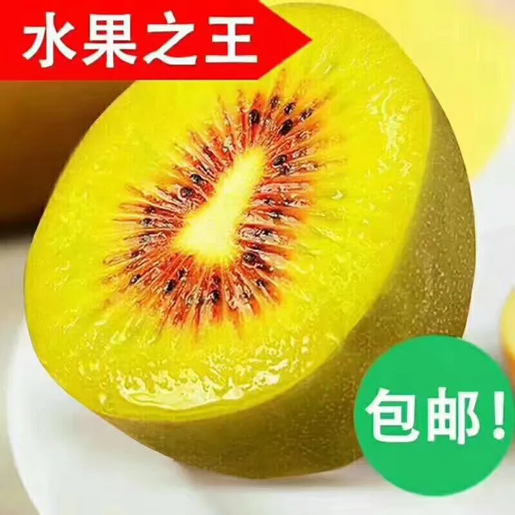新鲜蒲江红心猕猴桃产地直发中通包邮水果奇异果