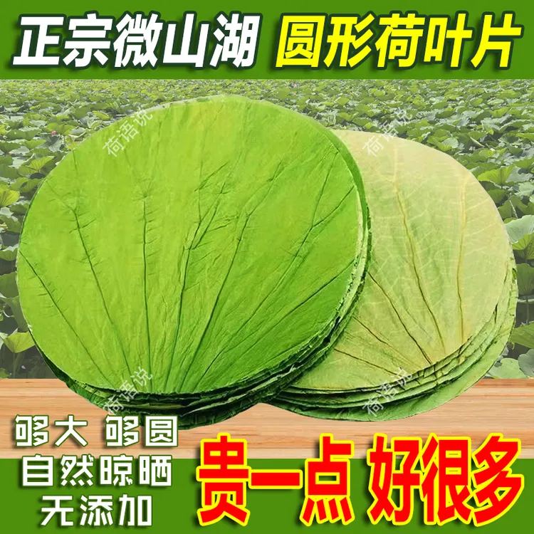 正宗圆形荷叶微山湖荷叶片糯米鸡荷叶饭蒸笼馒头垫专用天然干荷叶