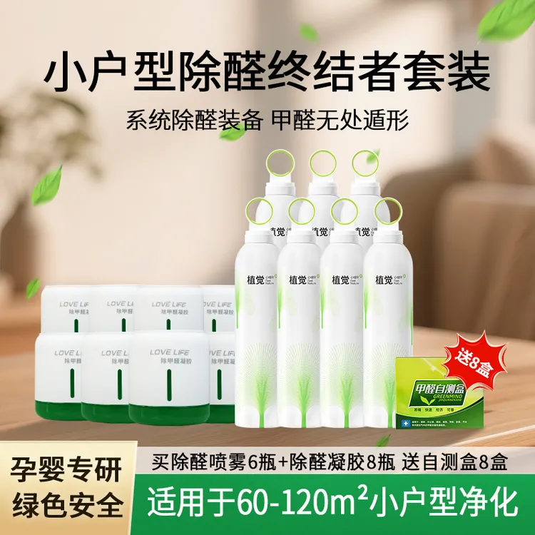 小户型60-120㎡除甲醛除异味组合套装母婴安全快速治理根源分解