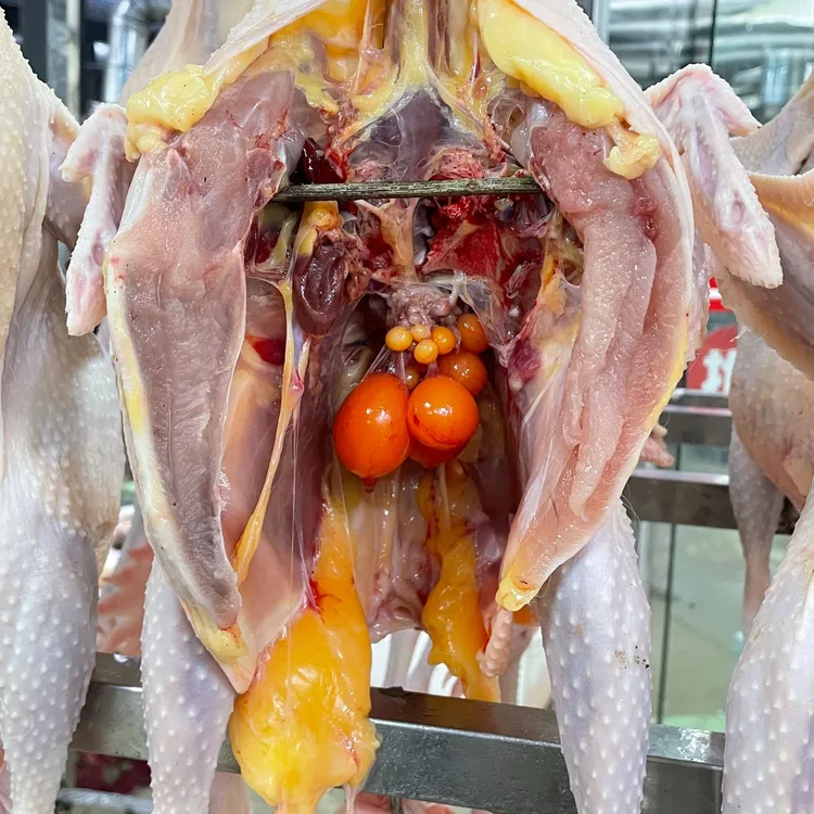 【两年母鸡】亿众源福利活动正宗两年母鸡顺丰发货