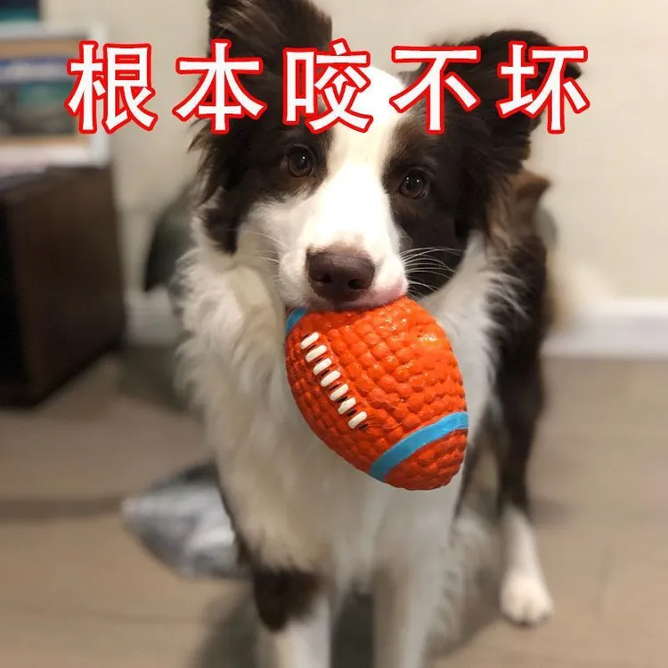 狗狗玩具宠物小狗自嗨解闷神器磨牙耐咬发声幼犬小型犬大狗橄榄球