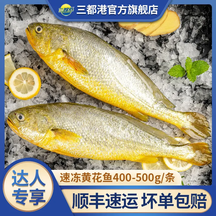 三都港现捕现发黄花鱼410-500g/条 原产地冰鲜大黄鱼【达人专享】
