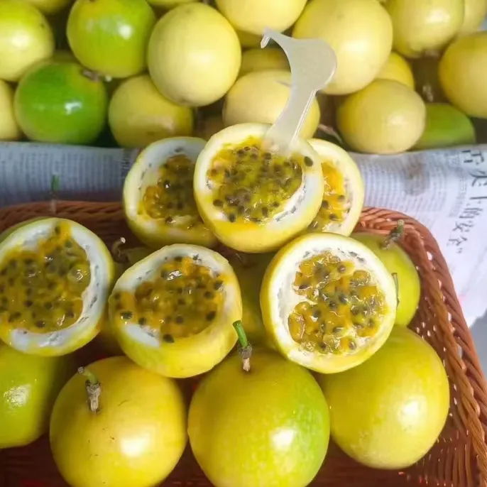 自家种植钦密9号百香果，产地：兴宁市罗浮镇新南村