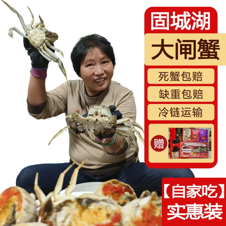 活蟹固城湖螃蟹公蟹4.5-4.8两母蟹3.5-3.8两8只【自家吃款去绳净重