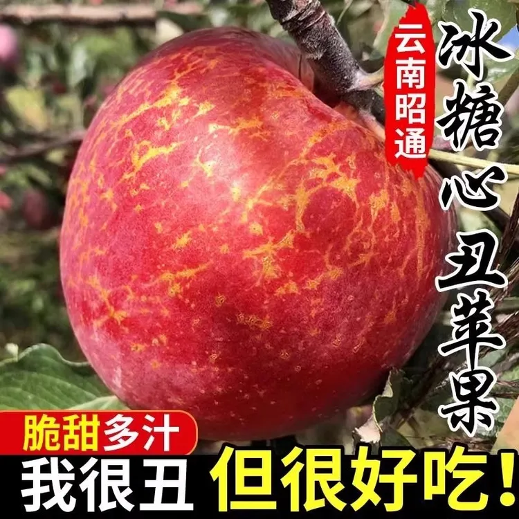 正宗云南昭通甜心丑苹果当季新鲜冰糖心水果红富士平果整箱