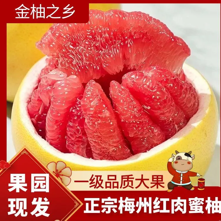 （现货包邮）梅州正宗蜜柚自家果园新鲜现摘皮薄肉厚柚子红心柚柚子