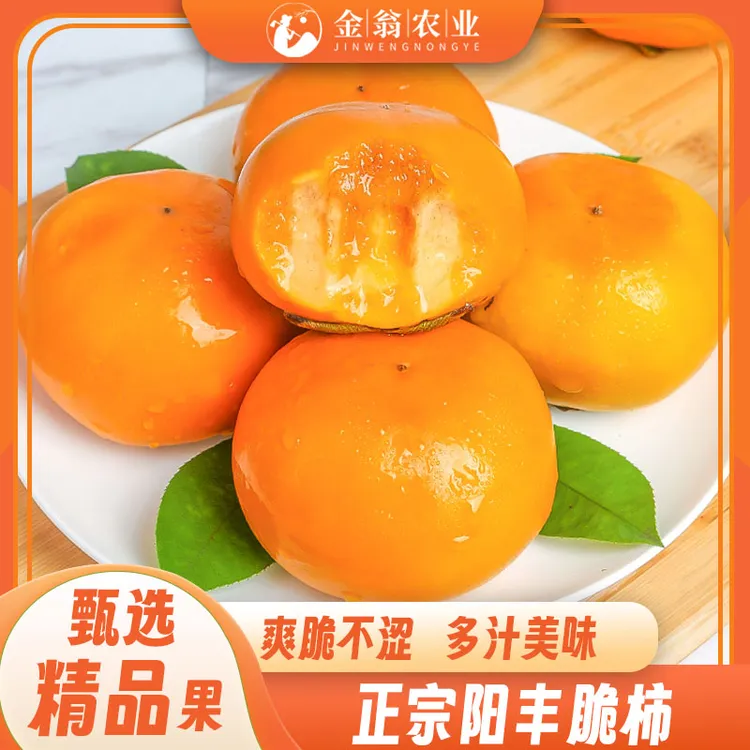 新鲜应季巧克力脆甜柿子现摘硬柿子口感脆甜多汁
