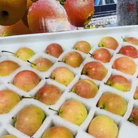 鞍山南果梨毛5斤装