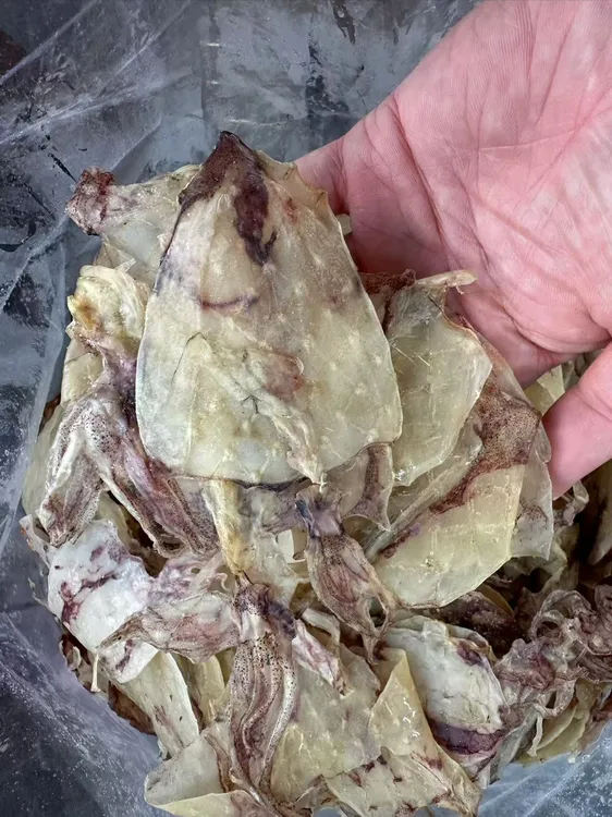 （开管）本地新鲜管子炖汤煮面